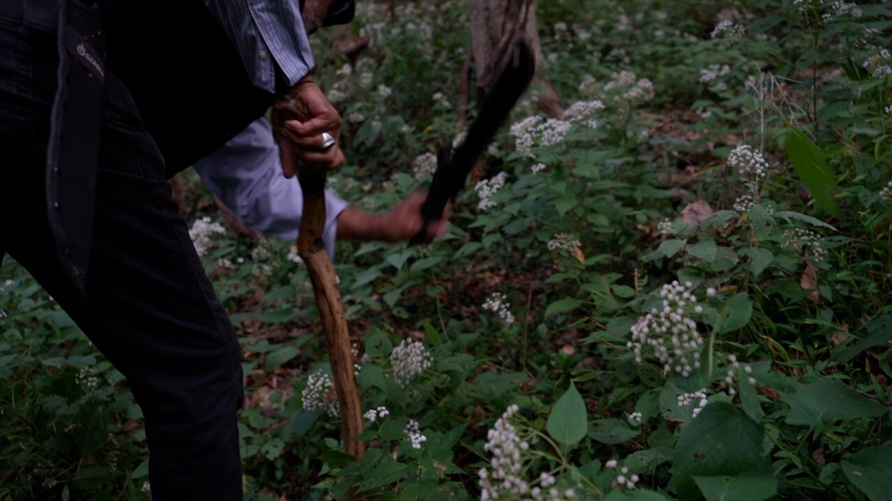 MACHETE PIC.jpg