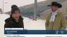 Skijoring in Heber