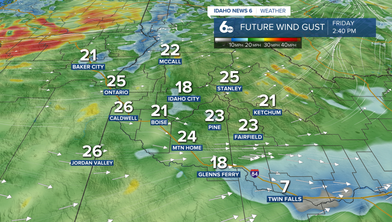 Future Wind Gusts