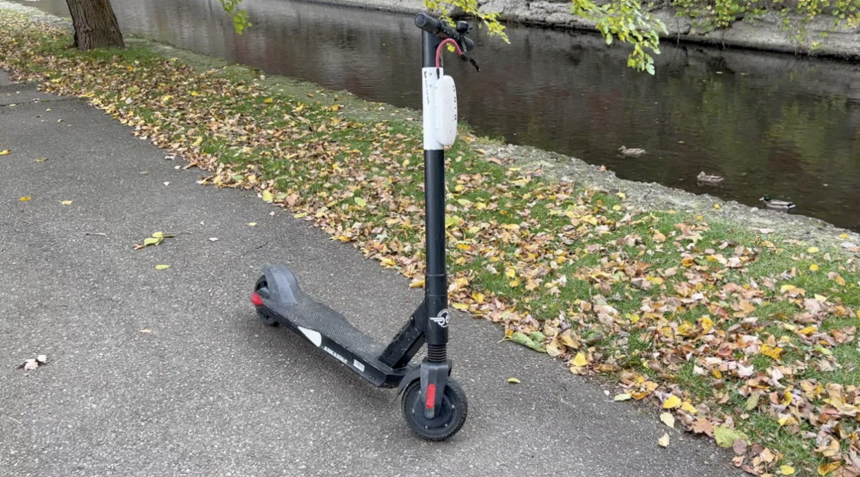 Bird Scooters
