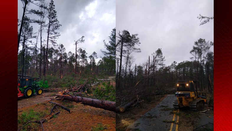 Kisatchie Forest damage.jpg