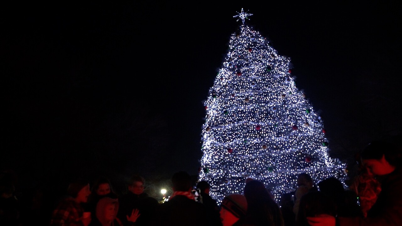This Christmas tree is huge