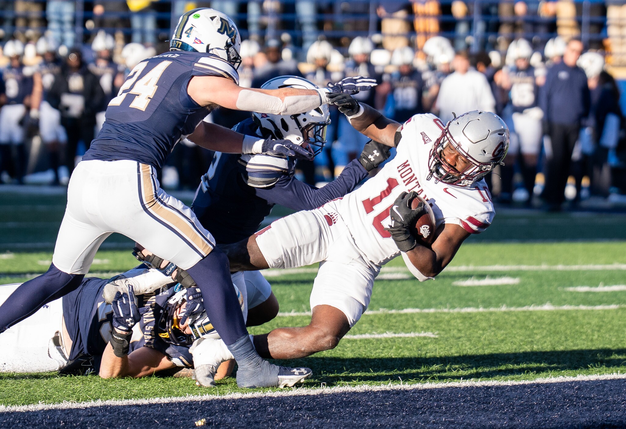 Montana vs. Montana State