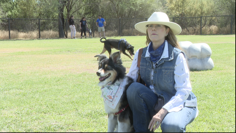 Lorraina Kestler - Wagging Tails dog park