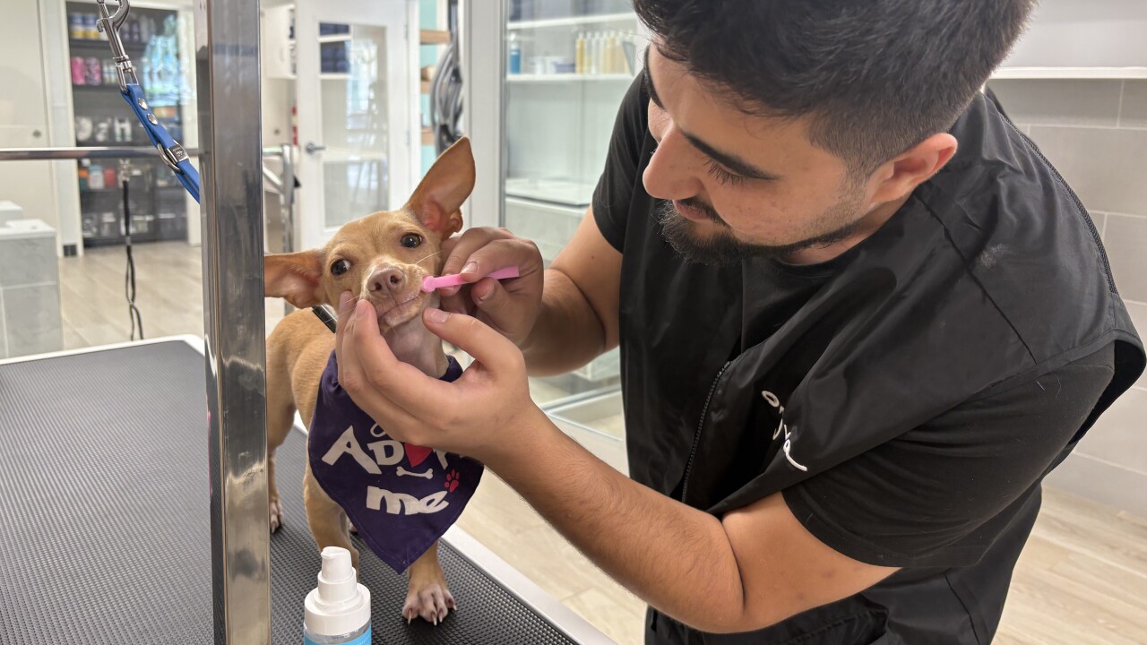 Onvya grooming