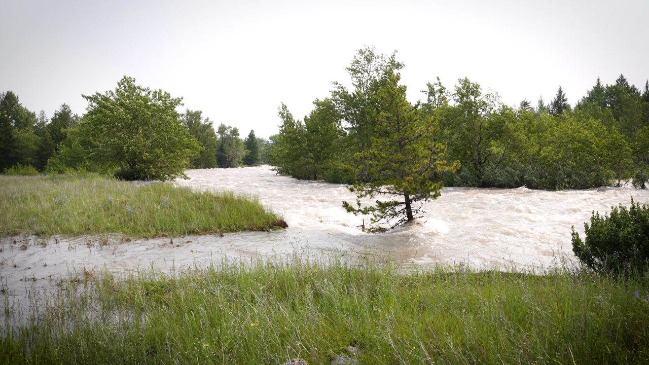 Swiftcurrent Creek Flooding