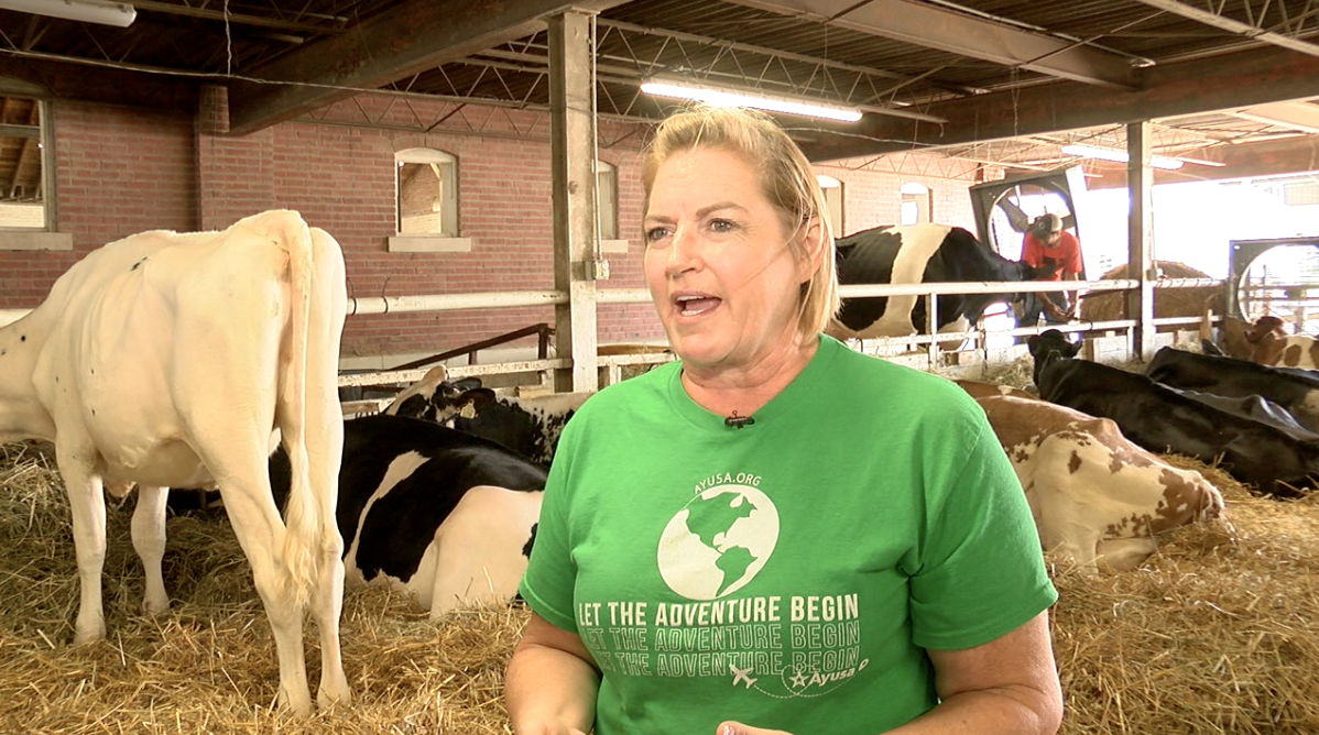 Screenshot 2024-09-11 at 2.23.16 PM.png