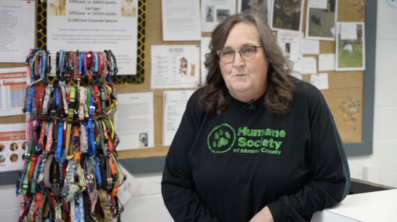 Screenshot 2025-11-19 at 6.00.40 PM.png