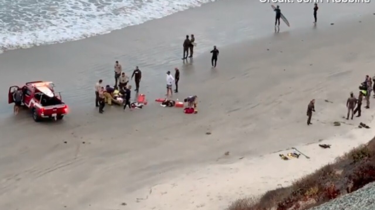 13 Year Old Boy Attacked By A Shark In Encinitas While