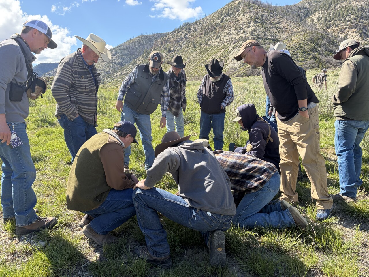 range rider training and grass indentations.jpg