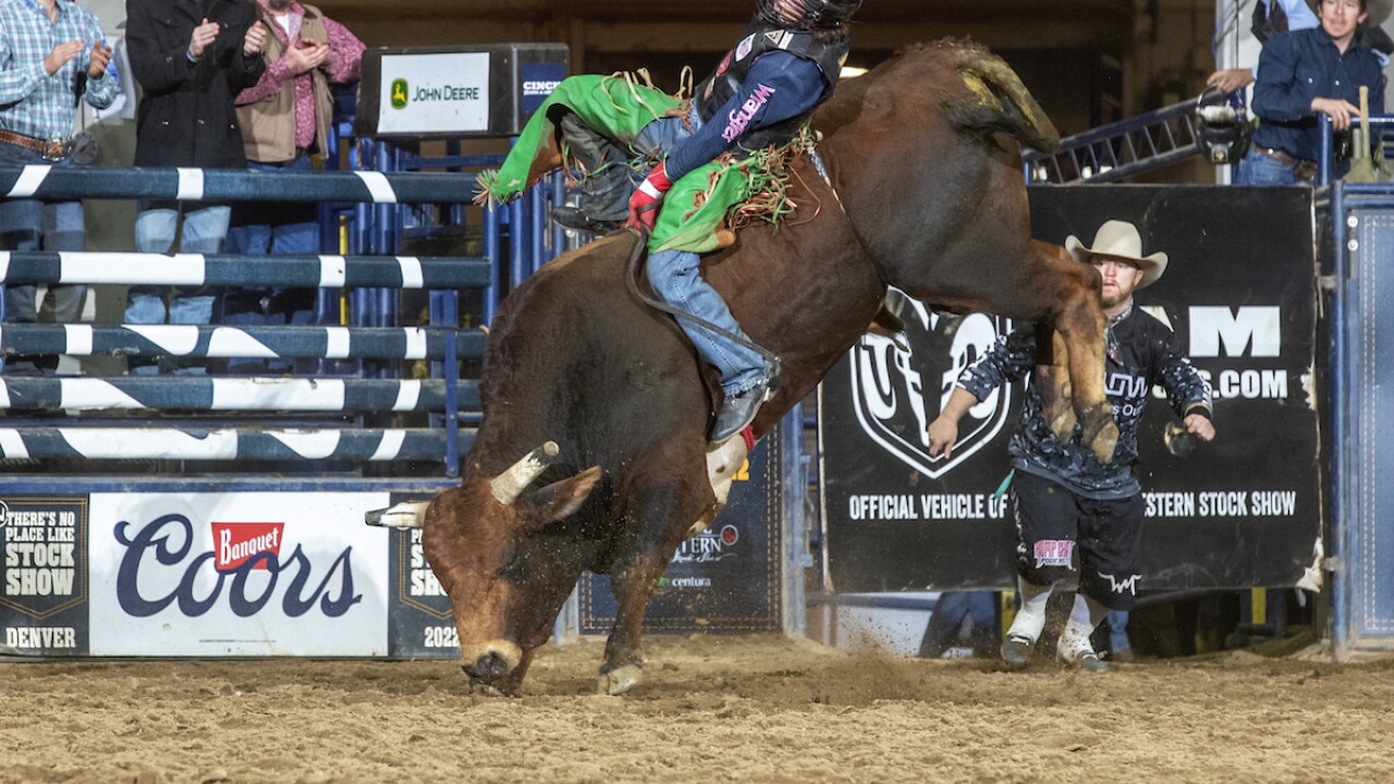 Bull riding takes center stage at the National Western Stock Show