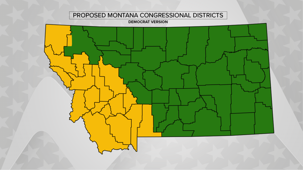 Democratic Congressional Proposal