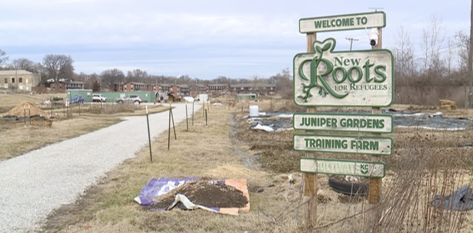 Screenshot 2026-01-13 at 7.32.06 PM.png