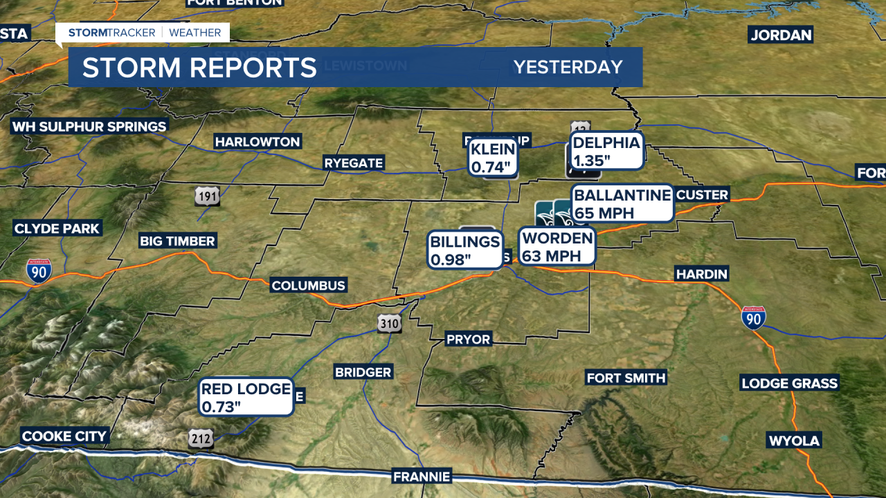 STORM REPORT.png