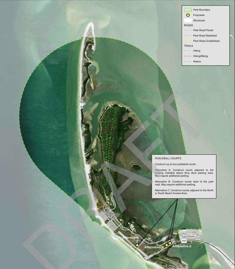 Honeymoon Island Proposal