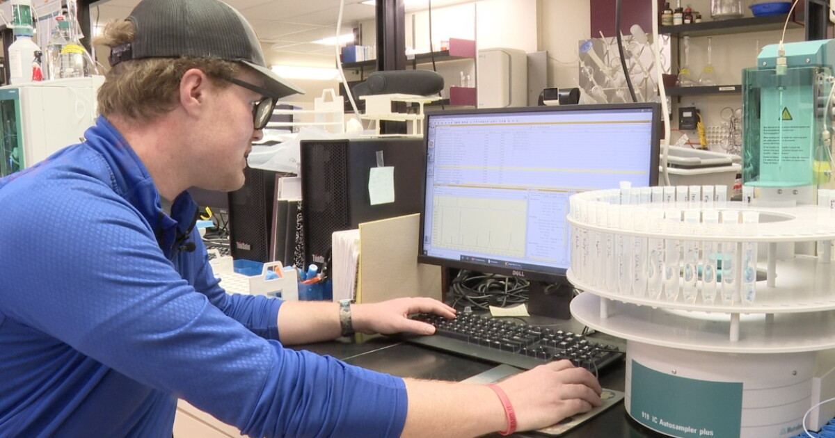MT Tech researcher finds parasite could hurt trout if river conditions ...