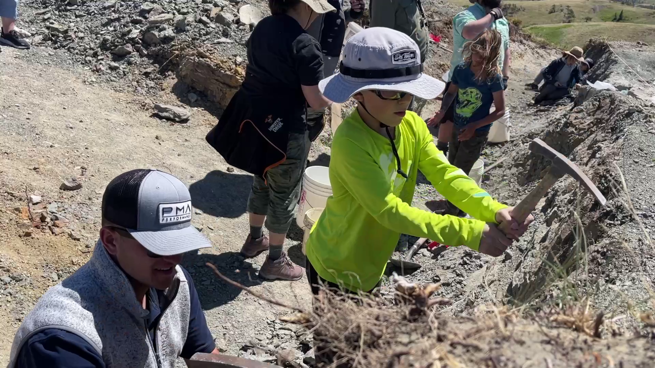 'Dino dig' wish in Montana comes true for young cancer survivor