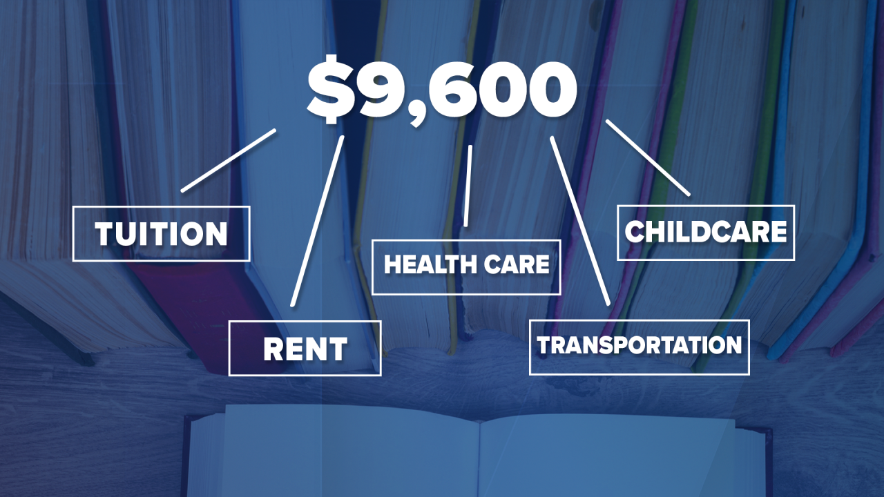 MI Student Teacher Stipend