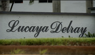 LUCAYA.png