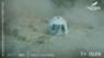 Jeff Bezos flies to space atop rocket built by his company, Blue Origin
