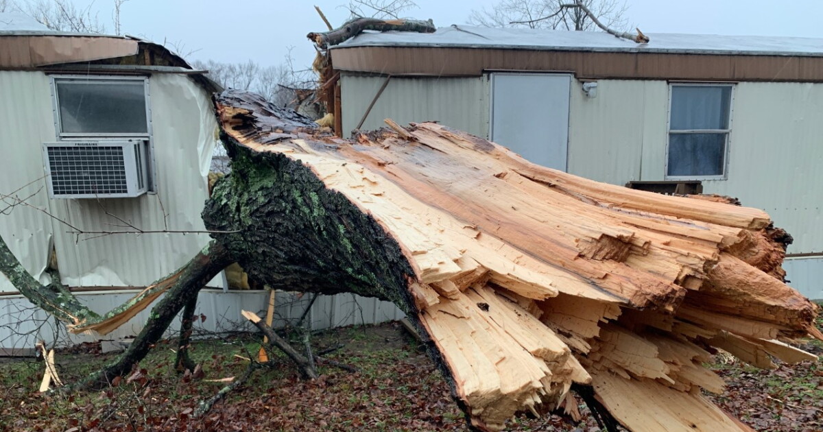 Tree falls on mobile home near Lebanon, splitting it in half