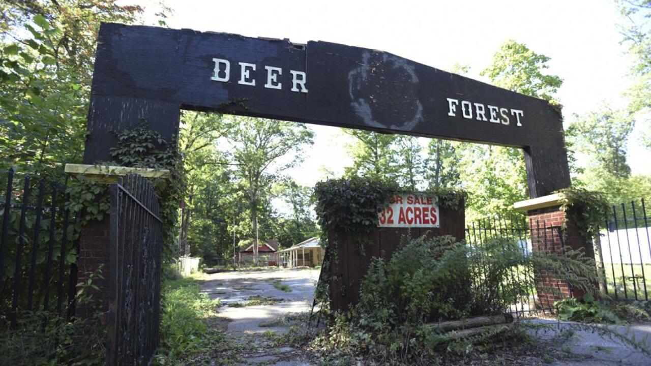 Deer Forest