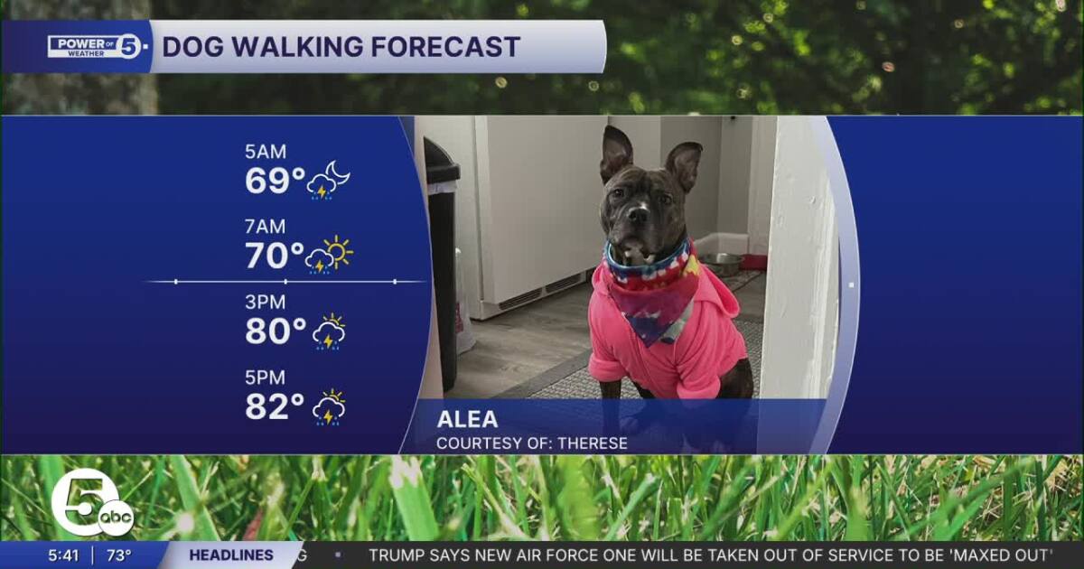 Keep your ears perked for thunder! Strong storms could disrupt dog walks today