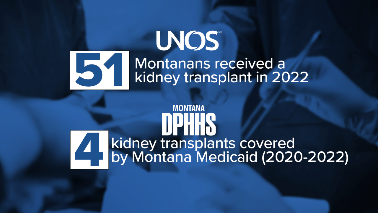 GFX Kidney Transplants