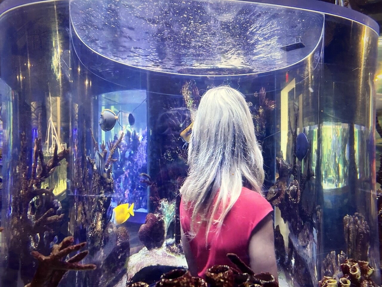 Cox Science Center Aquarium thumbnail.jpeg