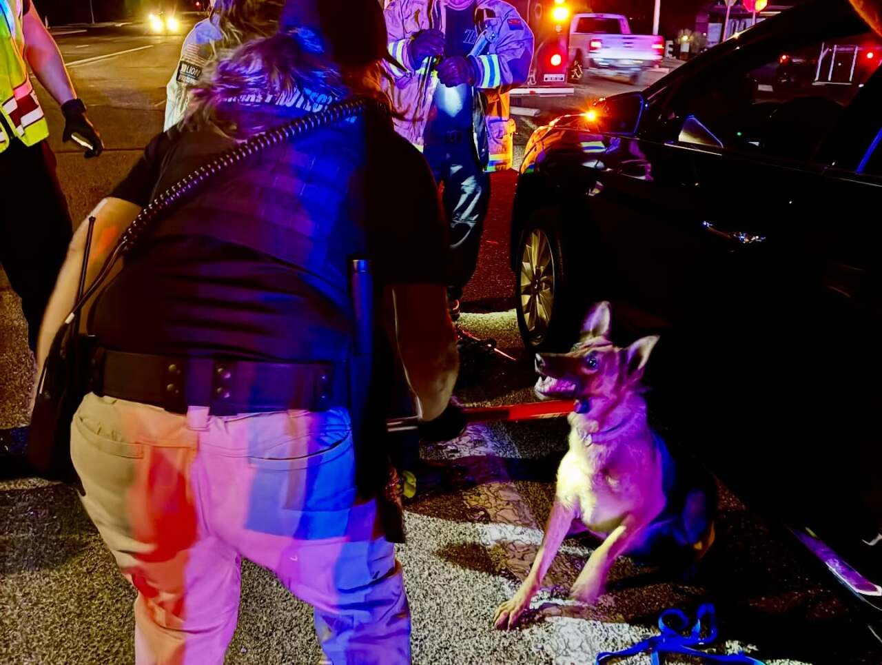 TFD rescues puppy from under car