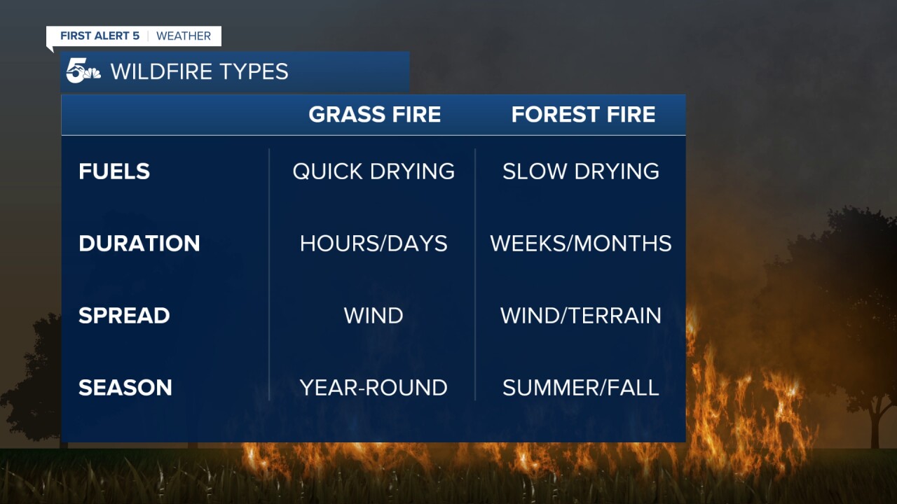 Wildfire Types