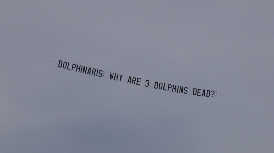 Dolphinaris Dead Dolphin Banner Waste Management Phoenix Open