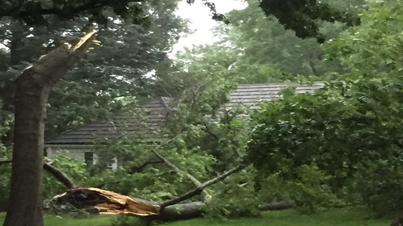 PHOTOS: Storms bring down limbs, knock out power