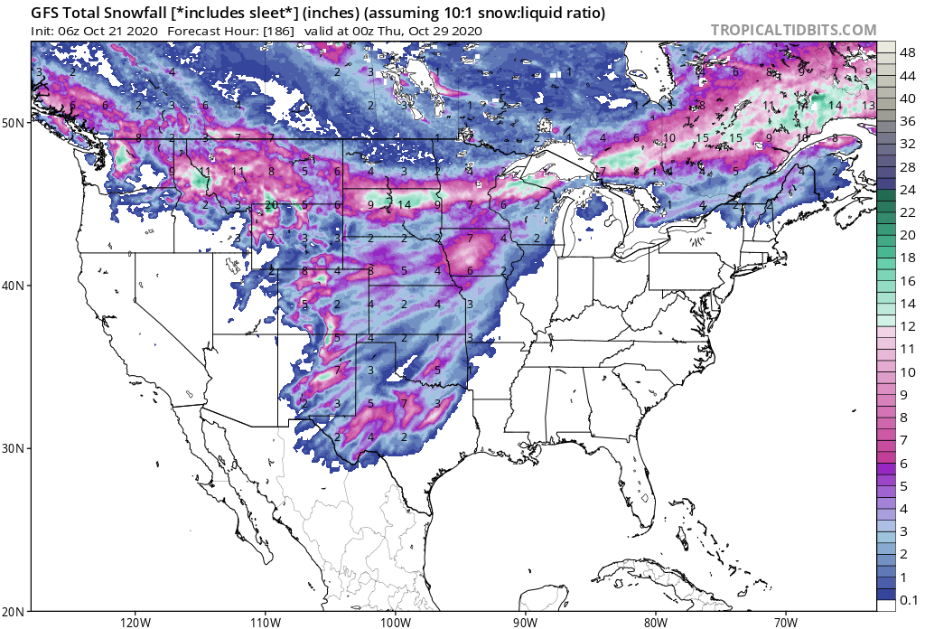 Snow American.png
