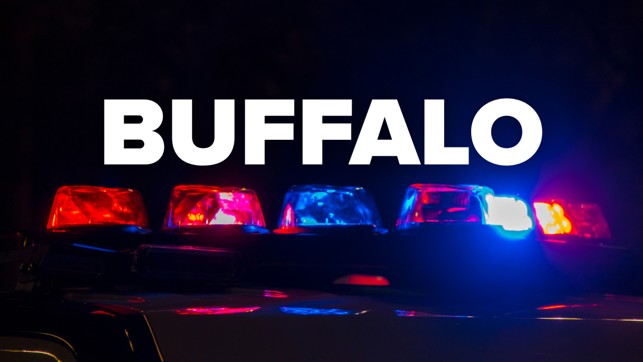BUFFALO (2).png