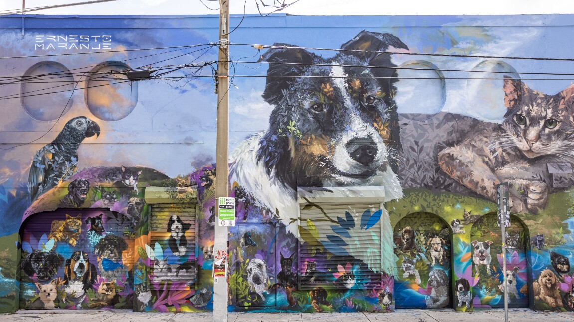 The _Ultimate Pet Portrait_ mural in Wynwood, organized by the pet supply company, Chewy (1).jpg