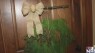 Festive upcycled tree door decor