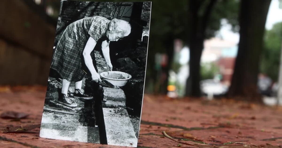 Remembering the woman who saved Richmond one brick at a time - Vimarsana News