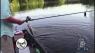 Southern Woods and Waters: The Brad Deming Memorial Bicycle Fund p2