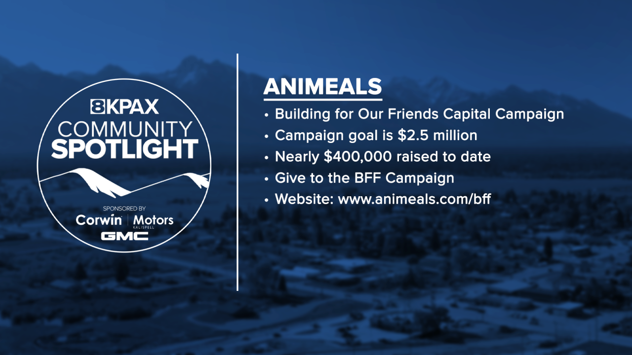 CS Animeals Capital GFX