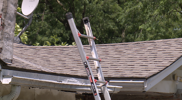 roof with ladder.png