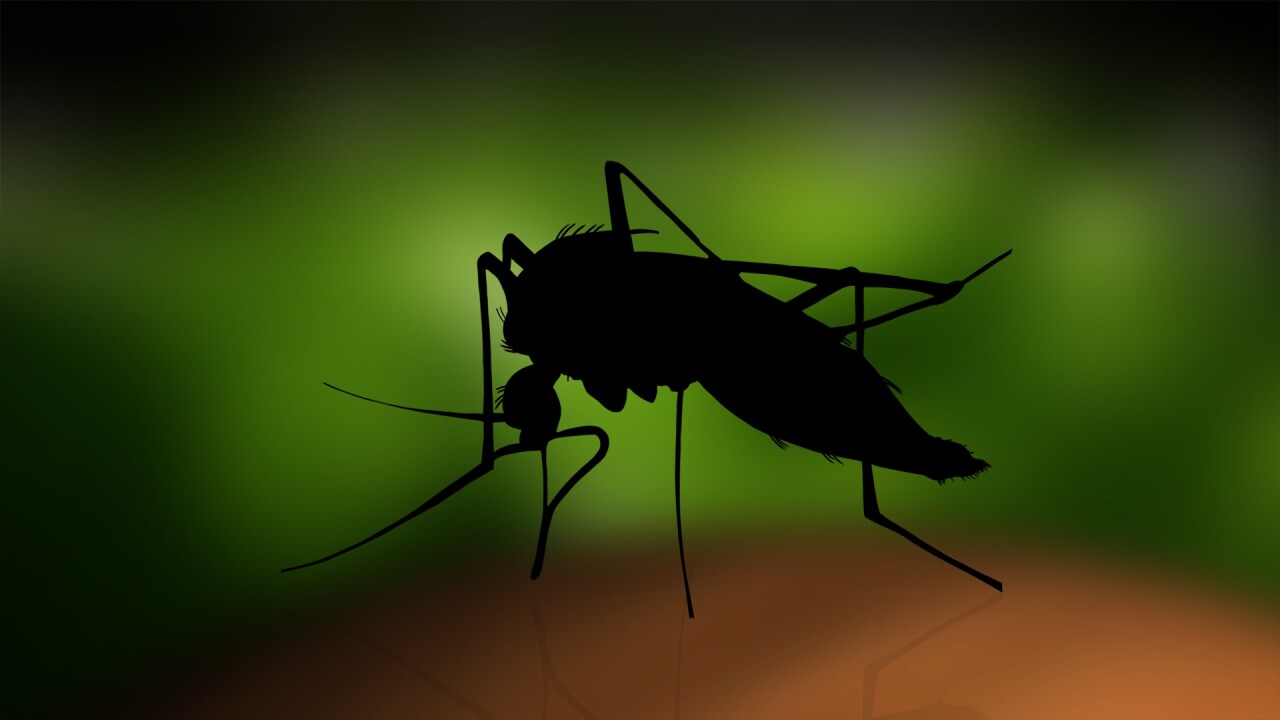 mosquito west nile AP