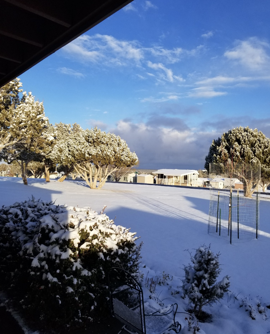 Photos Winter Storm Brings Snow To Arizona