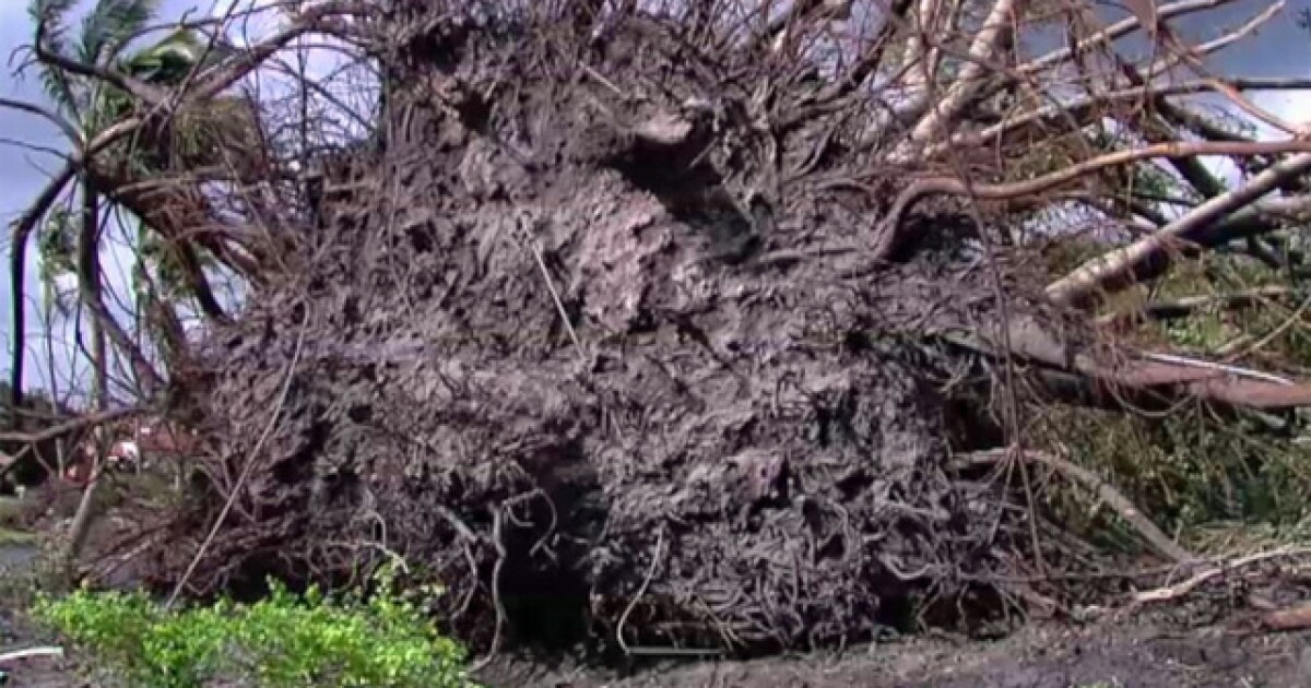 National Weather Service Surveys Tornado Damage In Juno