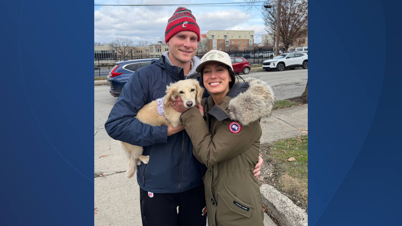 reunited dog missing