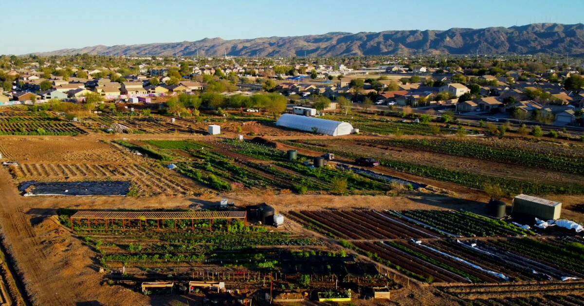 Farms across the country are desperate for younger growers - Vimarsana News
