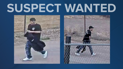 PPD Hit and Run Suspect 