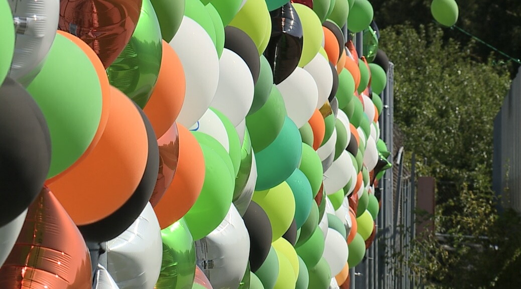 balloons covering fence.jpg
