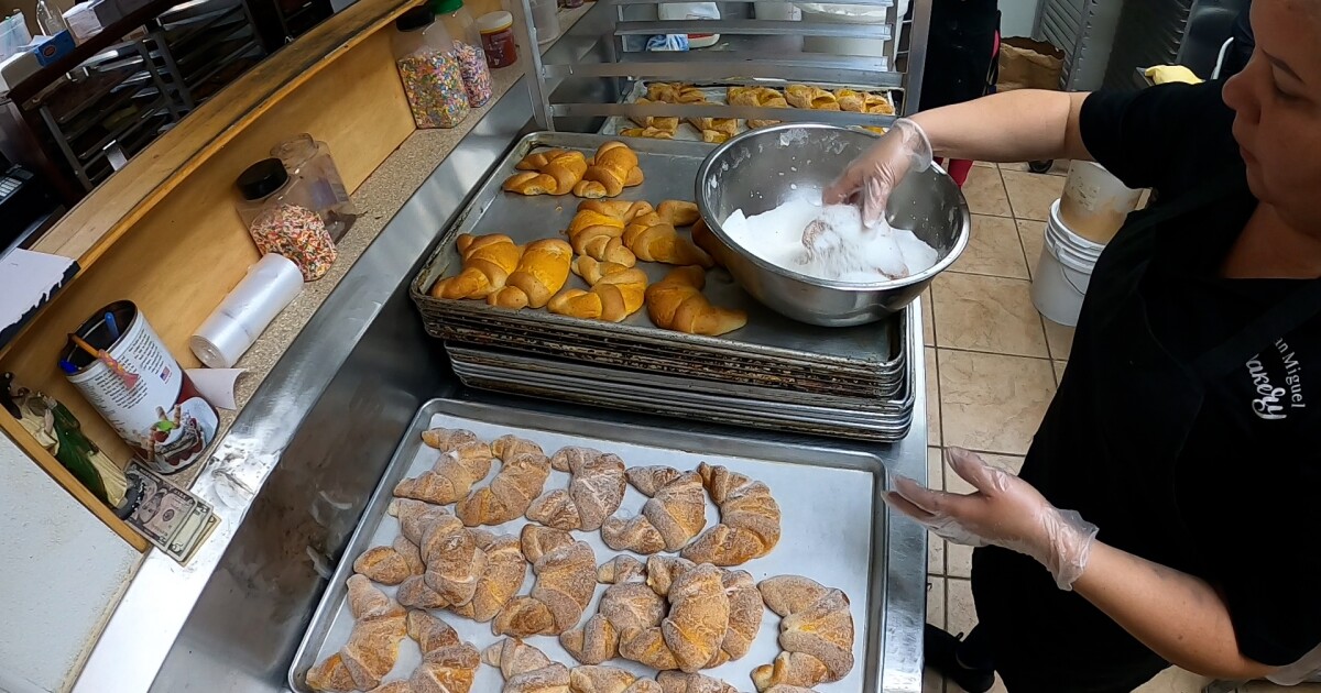 Local Bakery Keeps Mexican Heritage And Traditions Alive Through Food local-bakery-keeps-mexican-heritage-and-traditions-alive-through-food