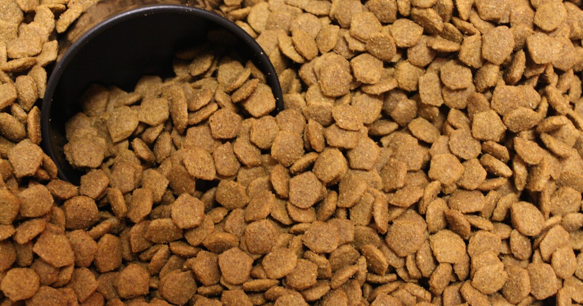 Dog with heart disease improving after switching diets